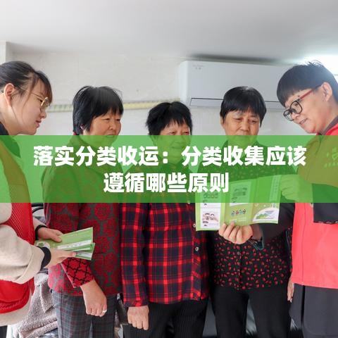 落實分類收運：分類收集應(yīng)該遵循哪些原則 