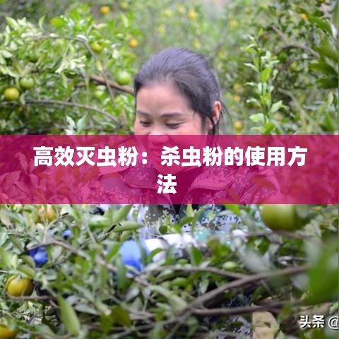 高效滅蟲粉：殺蟲粉的使用方法 