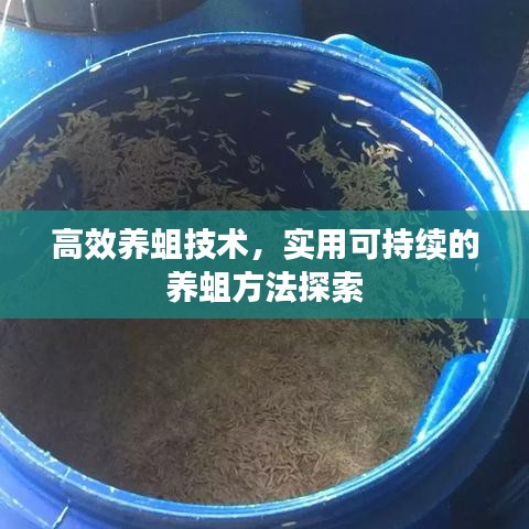 高效養(yǎng)蛆技術(shù)，實用可持續(xù)的養(yǎng)蛆方法探索