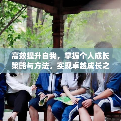 高效提升自我，掌握個(gè)人成長(zhǎng)策略與方法，實(shí)現(xiàn)卓越成長(zhǎng)之路