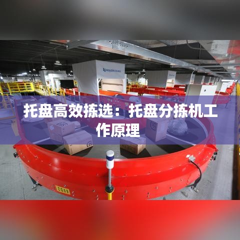 托盤高效揀選：托盤分揀機(jī)工作原理 