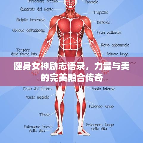 健身女神勵(lì)志語(yǔ)錄，力量與美的完美融合傳奇