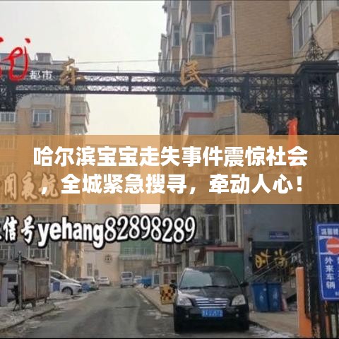 哈爾濱寶寶走失事件震驚社會(huì)，全城緊急搜尋，牽動(dòng)人心！