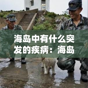 海島中有什么突發(fā)的疾?。汉u現(xiàn)狀 