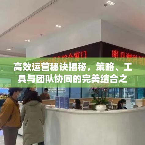 高效運(yùn)營(yíng)秘訣揭秘，策略、工具與團(tuán)隊(duì)協(xié)同的完美結(jié)合之道
