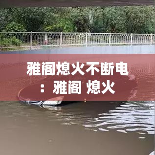雅閣熄火不斷電：雅閣 熄火 
