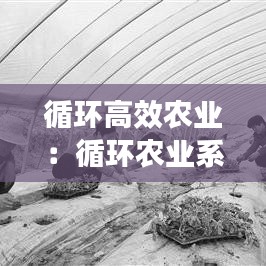 循環(huán)高效農業(yè)：循環(huán)農業(yè)系統(tǒng) 