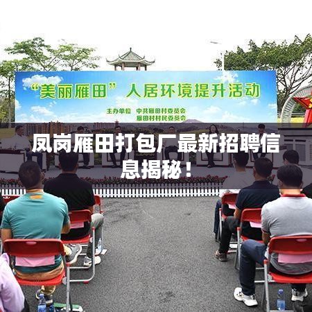 鳳崗雁田打包廠最新招聘信息揭秘！