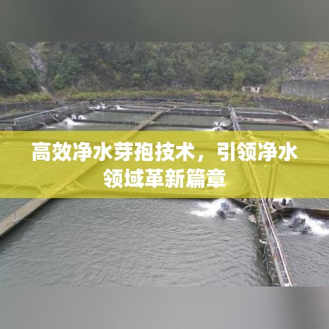 烏鳥之情 第2頁