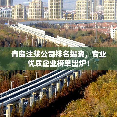 青島注漿公司排名揭曉，專業(yè)優(yōu)質(zhì)企業(yè)榜單出爐！