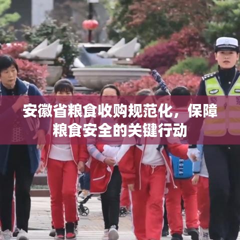 安徽省糧食收購規(guī)范化，保障糧食安全的關鍵行動