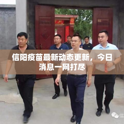 信陽疫苗最新動態(tài)更新，今日消息一網(wǎng)打盡