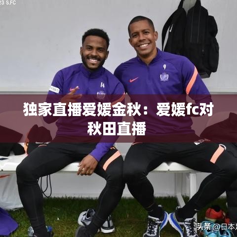 鳥(niǎo)聲獸心 第3頁(yè)