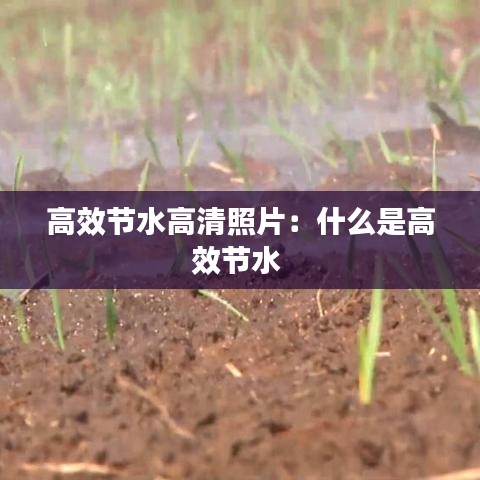高效節(jié)水高清照片：什么是高效節(jié)水 