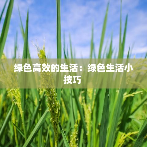 綠色高效的生活：綠色生活小技巧 