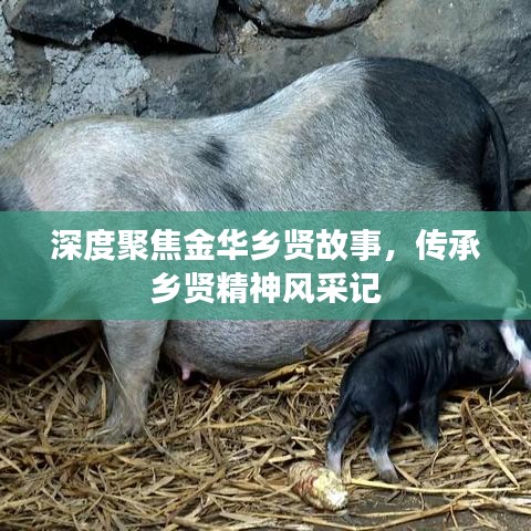 深度聚焦金華鄉(xiāng)賢故事，傳承鄉(xiāng)賢精神風(fēng)采記