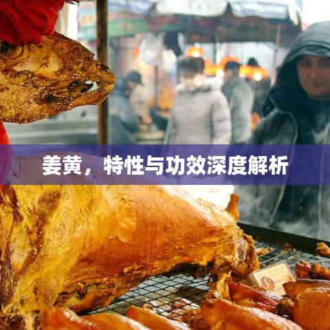 姜黃，特性與功效深度解析