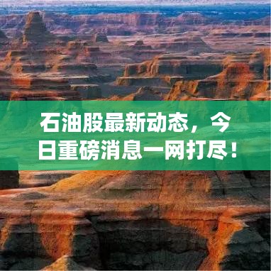石油股最新動態(tài)，今日重磅消息一網(wǎng)打盡！