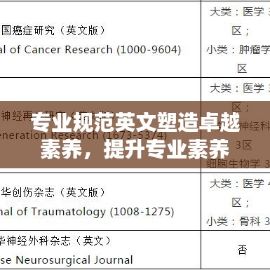 專(zhuān)業(yè)規(guī)范英文塑造卓越素養(yǎng)，提升專(zhuān)業(yè)素養(yǎng)的關(guān)鍵之道
