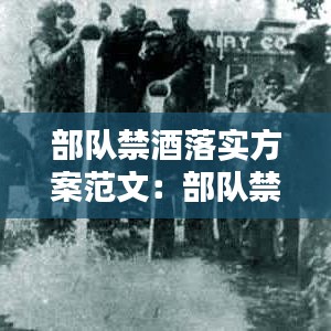 部隊(duì)禁酒落實(shí)方案范文：部隊(duì)禁酒令專題教育 