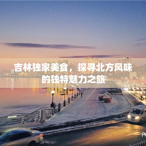 吉林獨(dú)家美食，探尋北方風(fēng)味的獨(dú)特魅力之旅