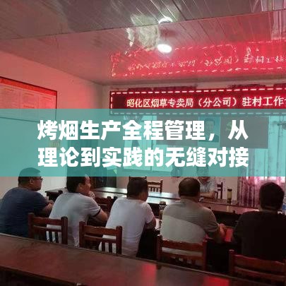 烤煙生產(chǎn)全程管理，從理論到實(shí)踐的無縫對(duì)接