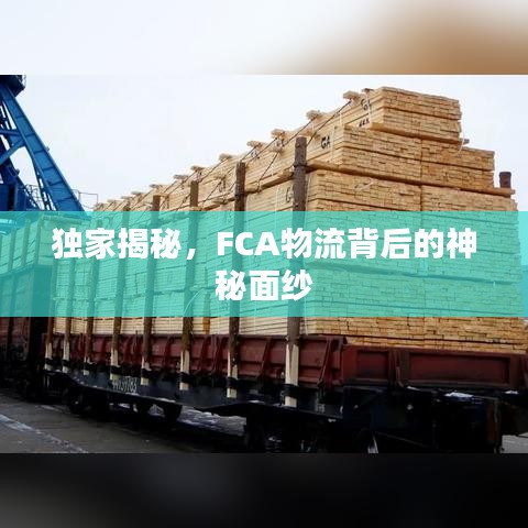 獨家揭秘，F(xiàn)CA物流背后的神秘面紗