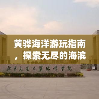 黃驊海洋游玩指南，探索無盡的海濱魅力！