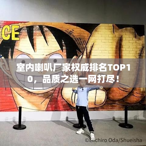 室內(nèi)喇叭廠家權(quán)威排名TOP10，品質(zhì)之選一網(wǎng)打盡！