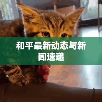 和平最新動(dòng)態(tài)與新聞速遞