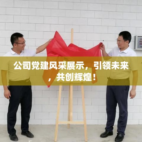 公司黨建風(fēng)采展示，引領(lǐng)未來，共創(chuàng)輝煌！