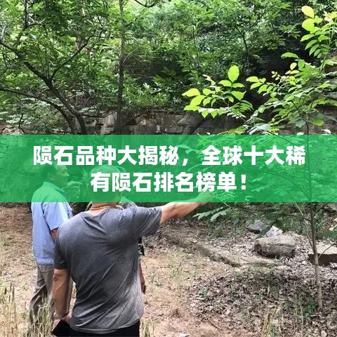 隕石品種大揭秘，全球十大稀有隕石排名榜單！