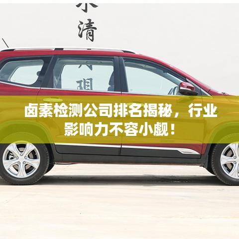 鹵素檢測(cè)公司排名揭秘，行業(yè)影響力不容小覷！