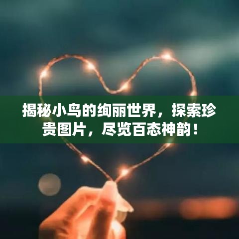 揭秘小鳥的絢麗世界，探索珍貴圖片，盡覽百態(tài)神韻！