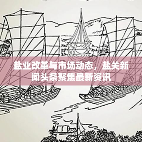 鹽業(yè)改革與市場(chǎng)動(dòng)態(tài)，鹽關(guān)新聞?lì)^條聚焦最新資訊