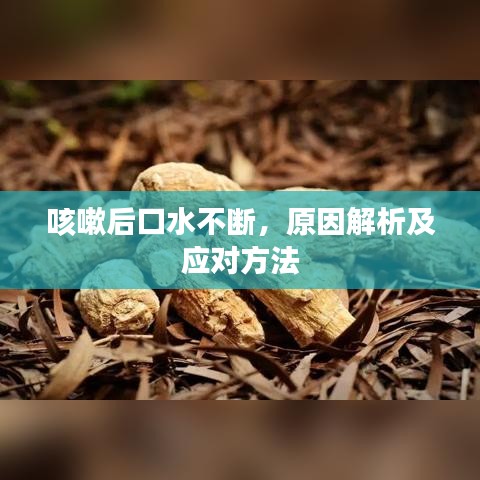 拋磚引玉 第3頁