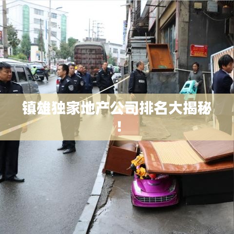 鎮(zhèn)雄獨(dú)家地產(chǎn)公司排名大揭秘！