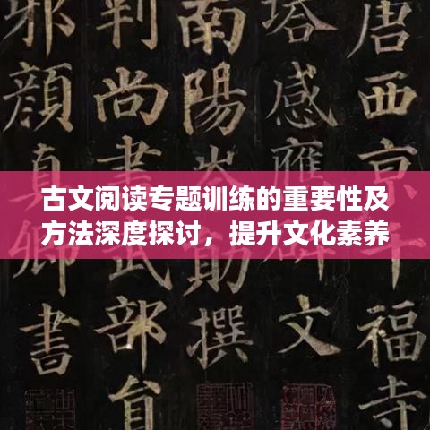 古文閱讀專題訓(xùn)練的重要性及方法深度探討，提升文化素養(yǎng)的關(guān)鍵路徑