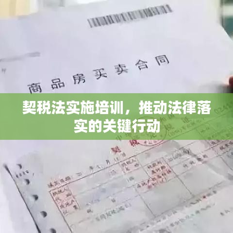 契稅法實施培訓，推動法律落實的關鍵行動