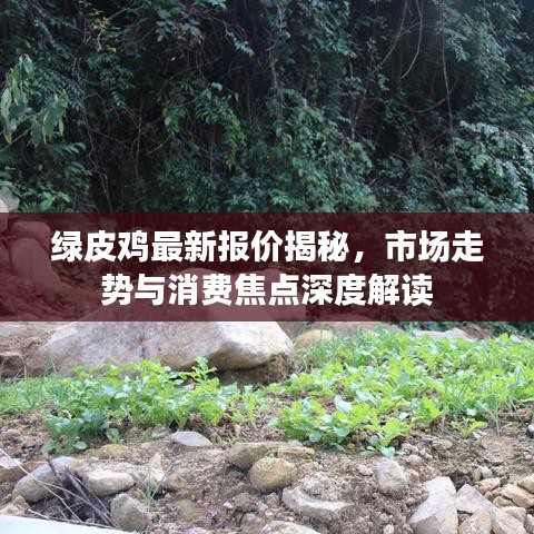 雅人清致 第3頁(yè)