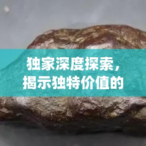 獨家深度探索，揭示獨特價值的奧秘之旅