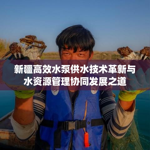 新疆高效水泵供水技術(shù)革新與水資源管理協(xié)同發(fā)展之道