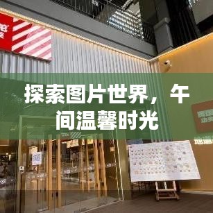 探索圖片世界，午間溫馨時光