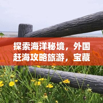 探索海洋秘境，外國(guó)趕海攻略旅游，寶藏之旅開啟！