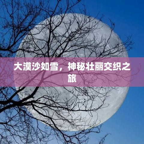 大漠沙如雪，神秘壯麗交織之旅