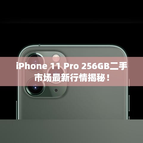 iPhone 11 Pro 256GB二手市場最新行情揭秘！