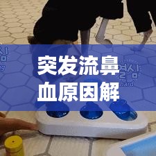 突發(fā)流鼻血原因解析，處理及預防措施全攻略