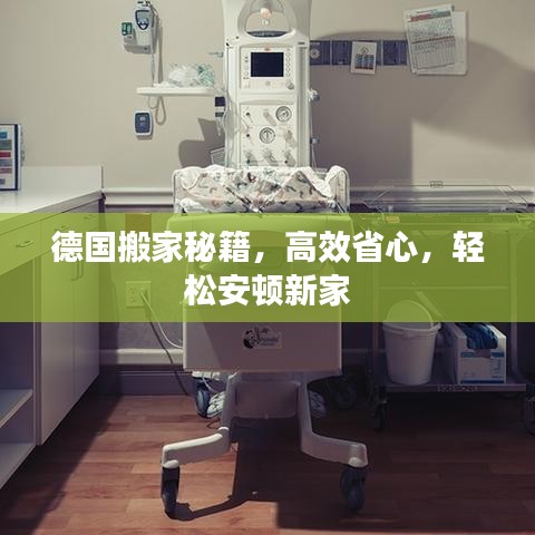德國搬家秘籍，高效省心，輕松安頓新家
