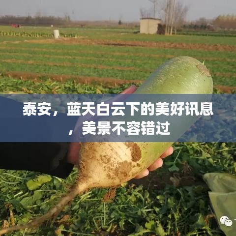 廢寢忘食 第2頁(yè)