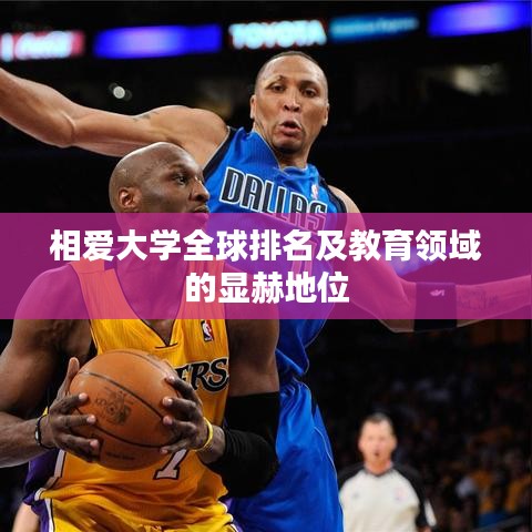 相愛(ài)大學(xué)全球排名及教育領(lǐng)域的顯赫地位